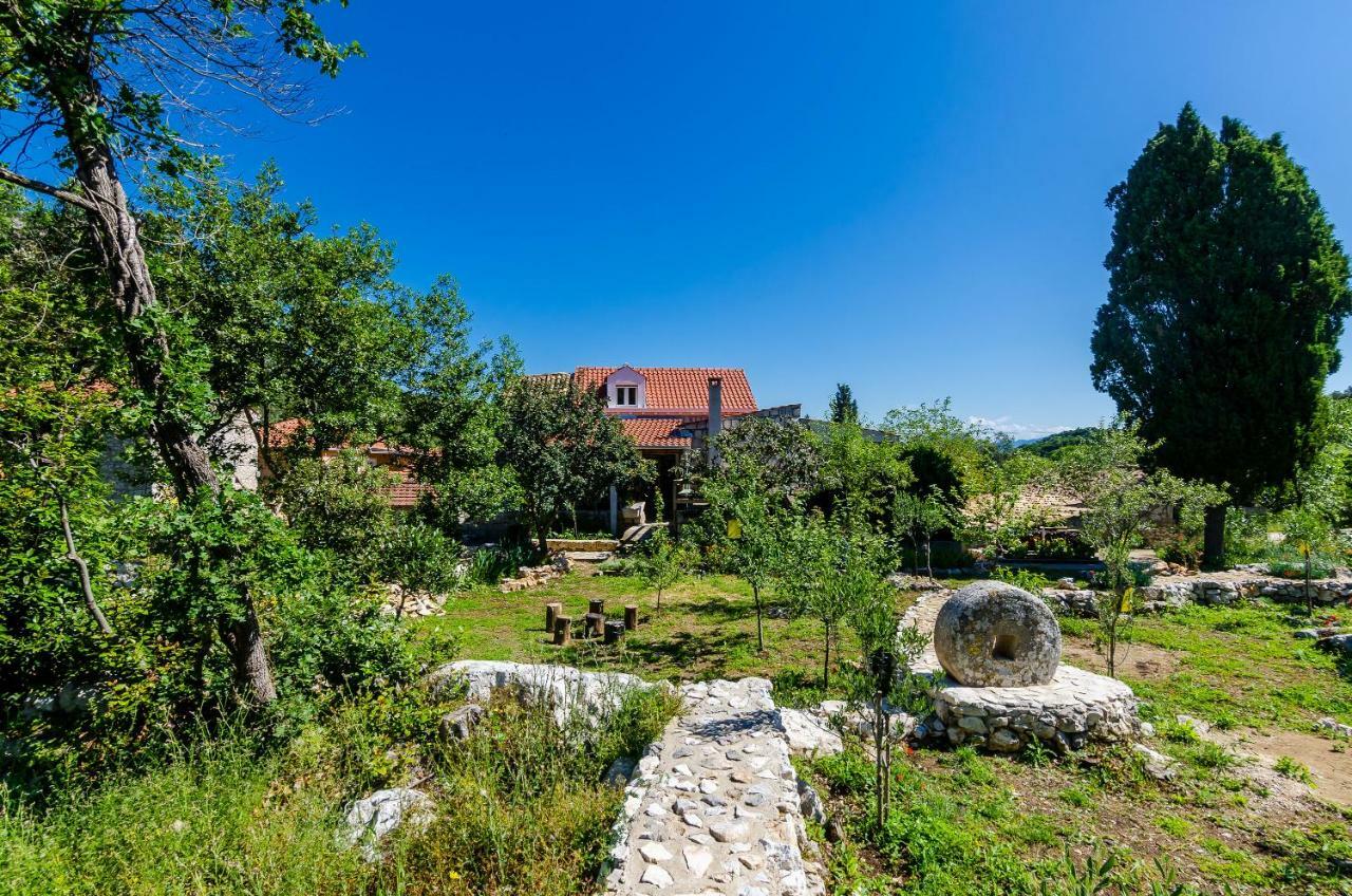 Apartments Korita Maranovici Bagian luar foto